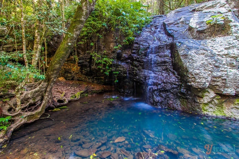 little waterfalls going into a pool The Bunya Mounatins, Queensland, Australia