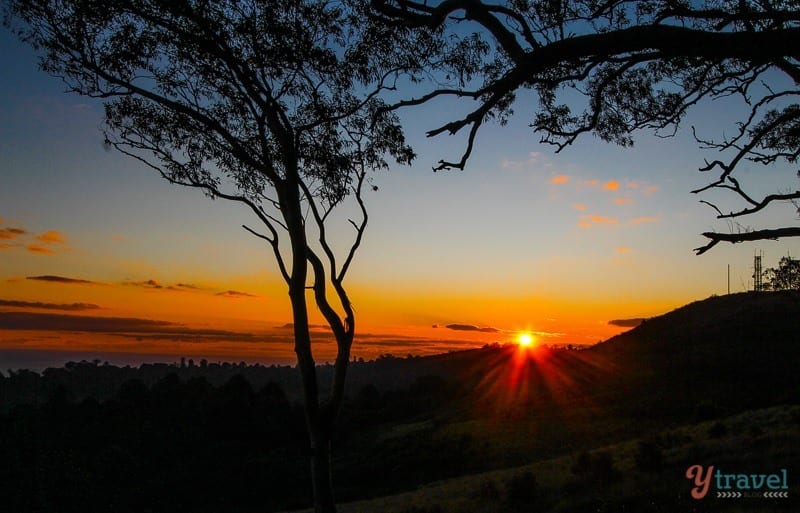 Sunset in The Bunya Mountains, Queensland, Australia