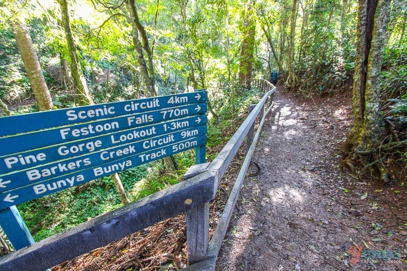 The Bunya Mountains in Queensland, Australia