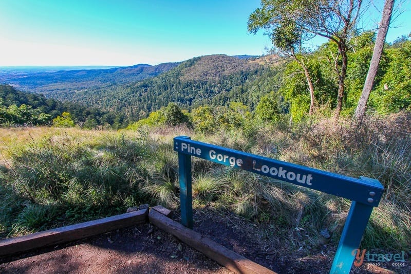 Pine Gorge Lookout with valley and mountain views