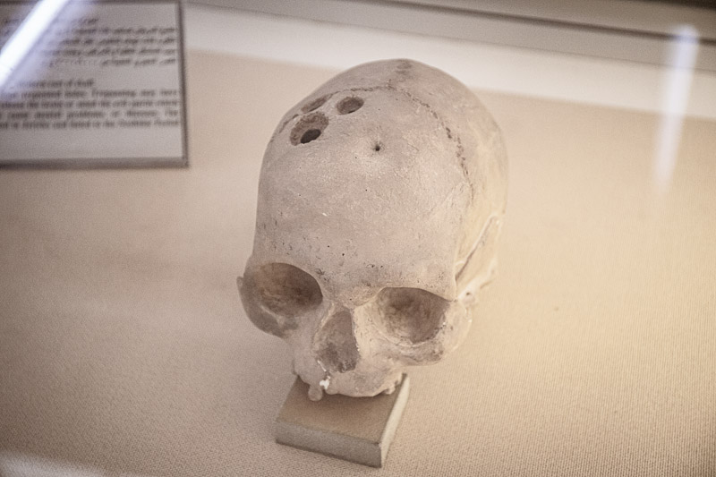 museum citadel skull with holes in it