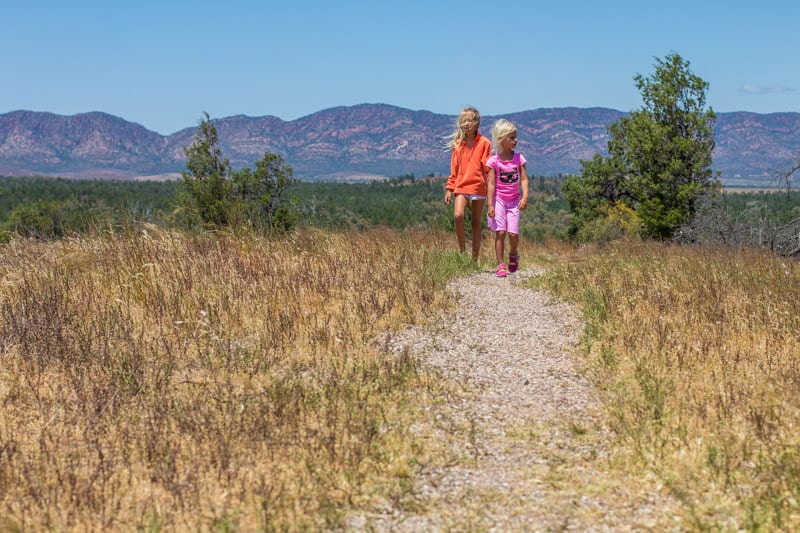 people walking in a field with mountains in the background