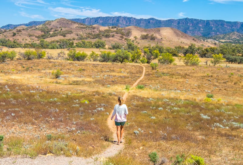 person walking through a desert