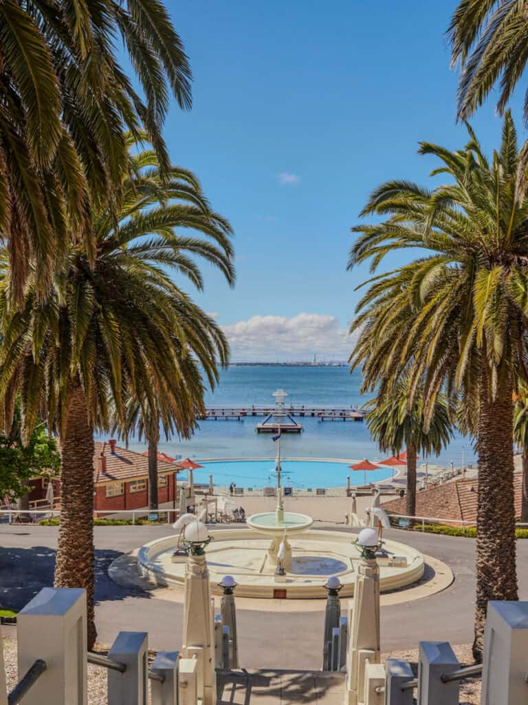 foreshore framed by palm trees with ocean in the distance in geelong