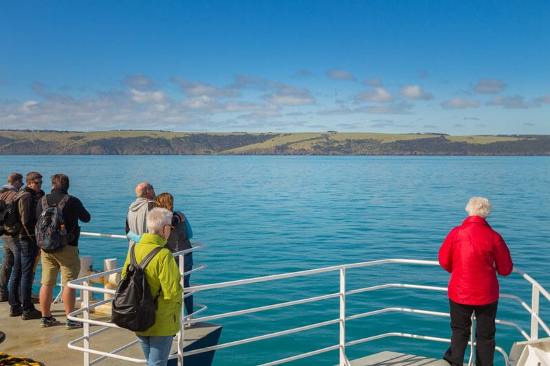 people on ferry looking at  Kangaroo Island on the SeaLink ferry