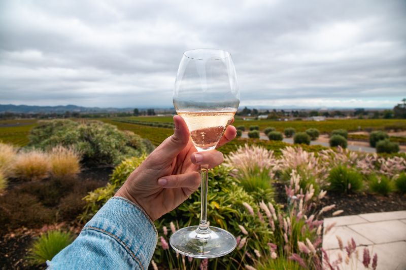 person holding glass of wine at gloria ferrer winery sonoma