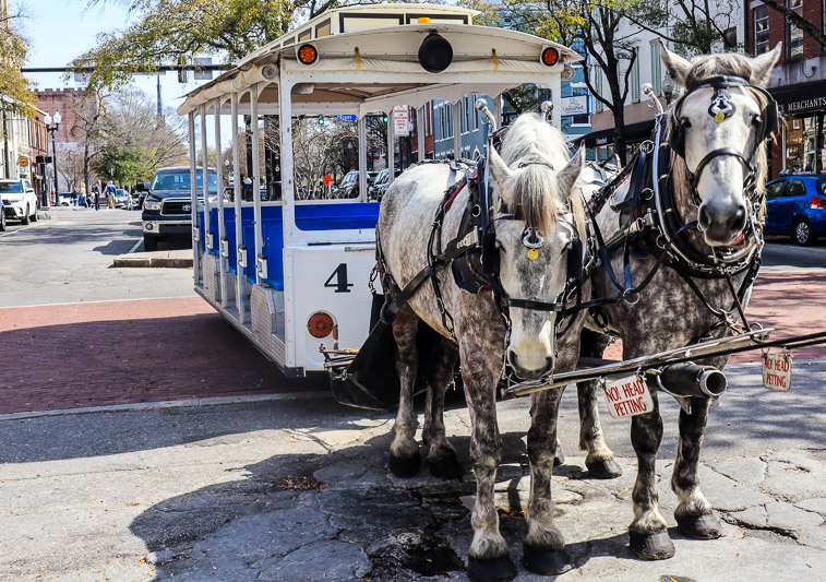 A horse pulling a carriage down a street