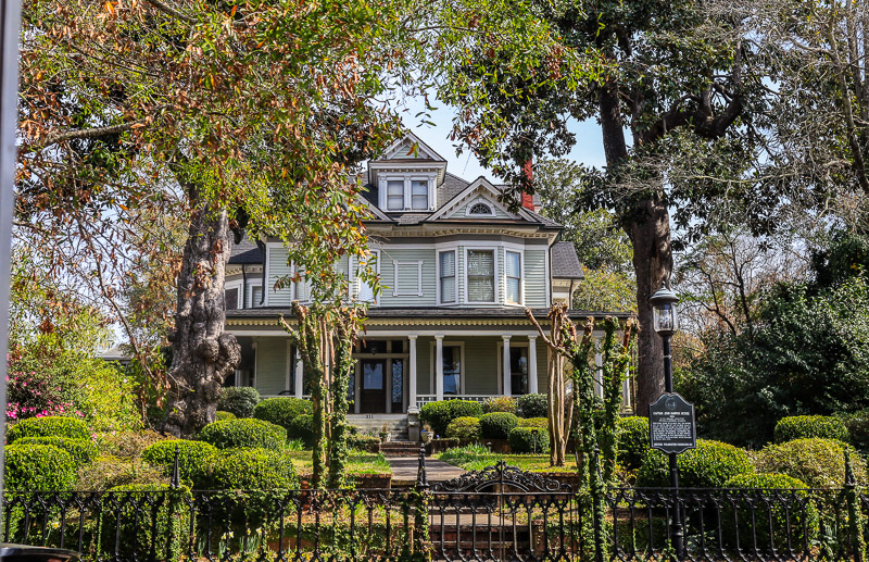 A tree in front of an historic house in wilmington