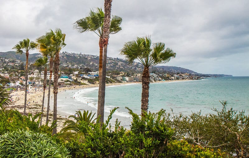 Laguna Beach with palm trees