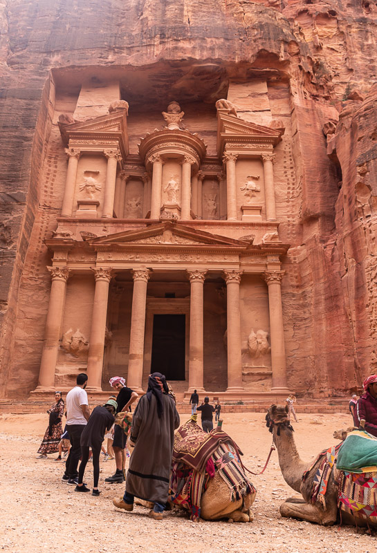 the treasury petra with camels