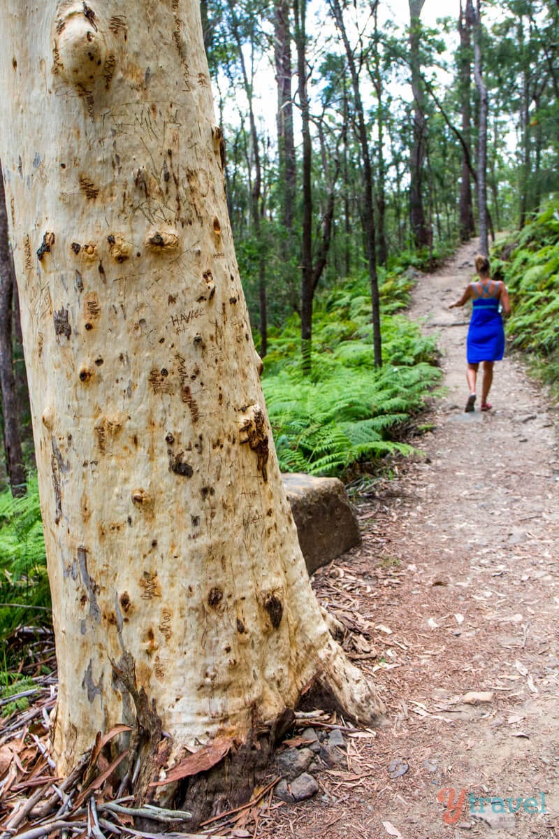 woman walking on a path in a forest