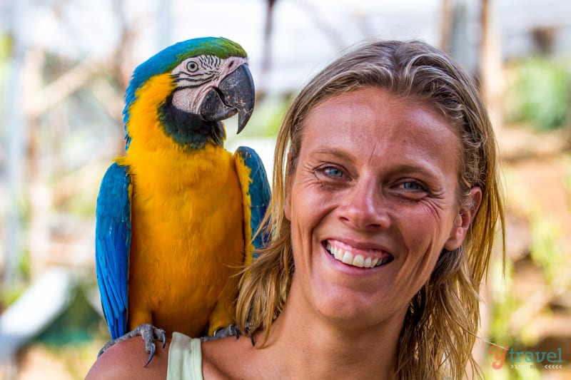 bird standing on a woman's shoulder 