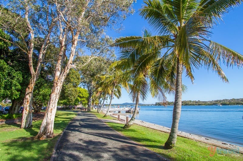 walkway beside river in Noosaville, Queensland, Australia