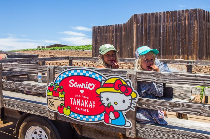 girls on farm truck Tanaka Farms Strawberry Tour in Irvine