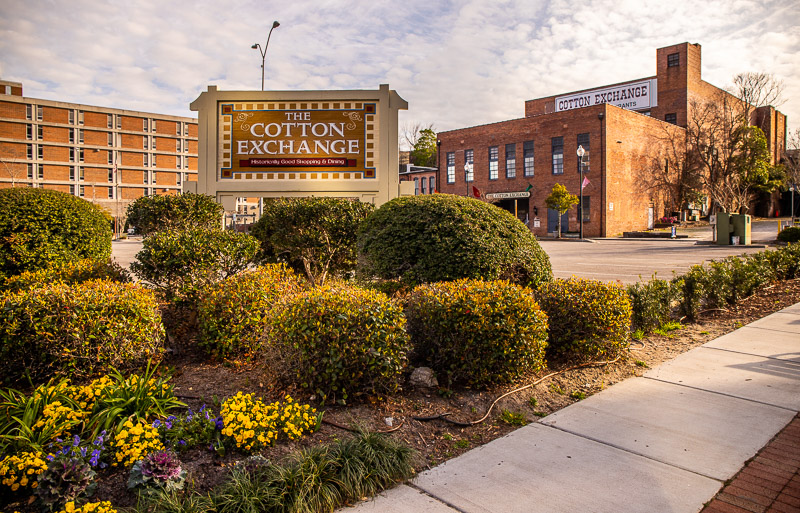 bushes in front of buildings