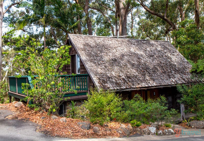 cabin in the forest