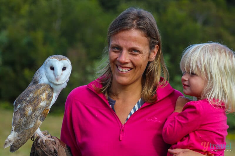 woman holding owl and toddler at the Birds of Prey Show at O'Reilly's Rainforest Retreat 