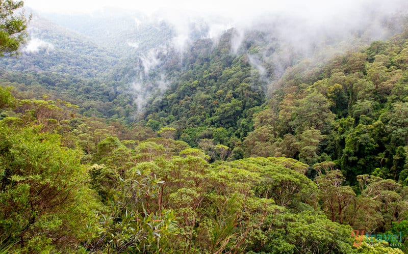 Canyon Lookout, views