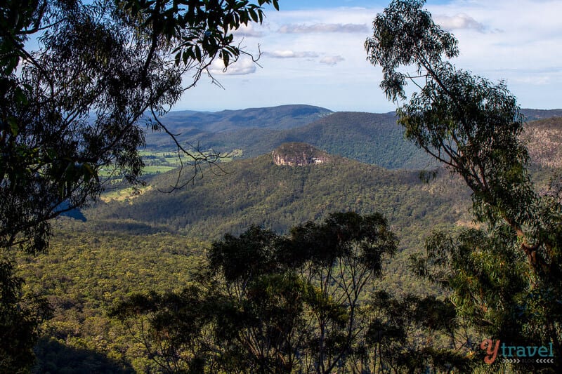 Lamington National Park, Gold Coast Hinterland, Queensland, Australia