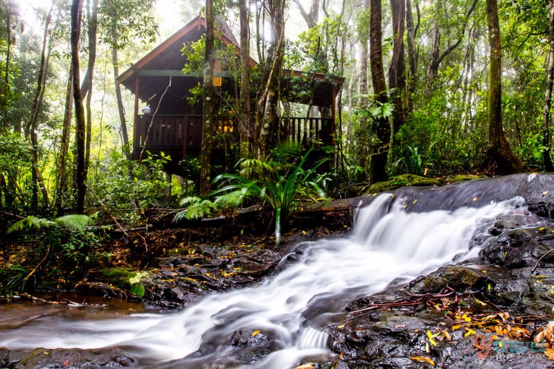 waterfall in a forest