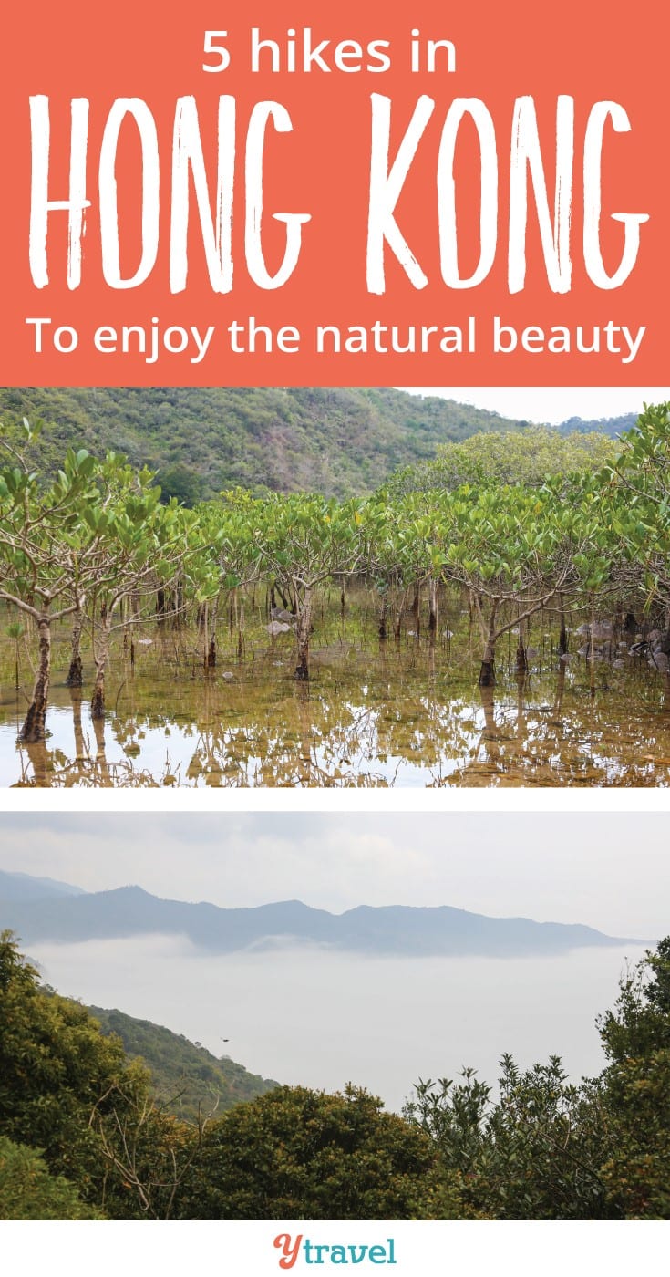 trees in water surrounded by mountains