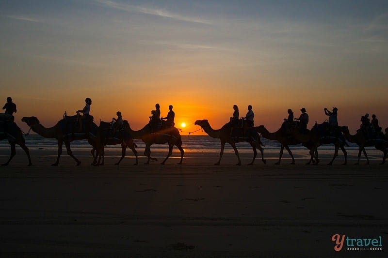 Susnet camel ride, Cable Beach,