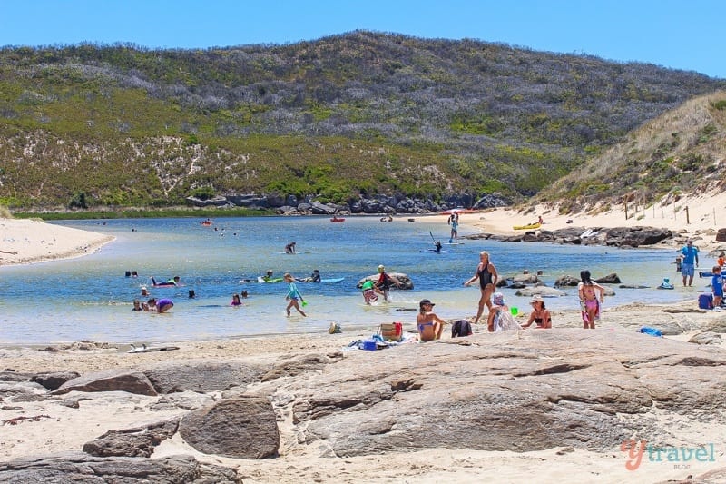 people at the beach