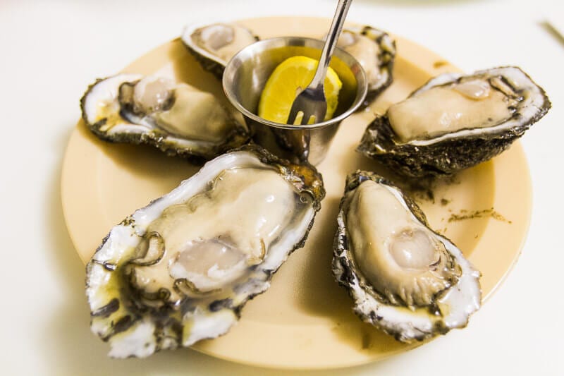 oysters on a plate