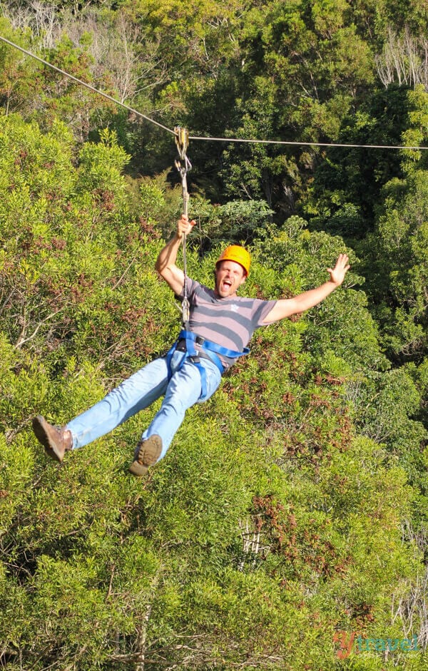 man on Flying fox at O'Reilly's Rainforest Retreat