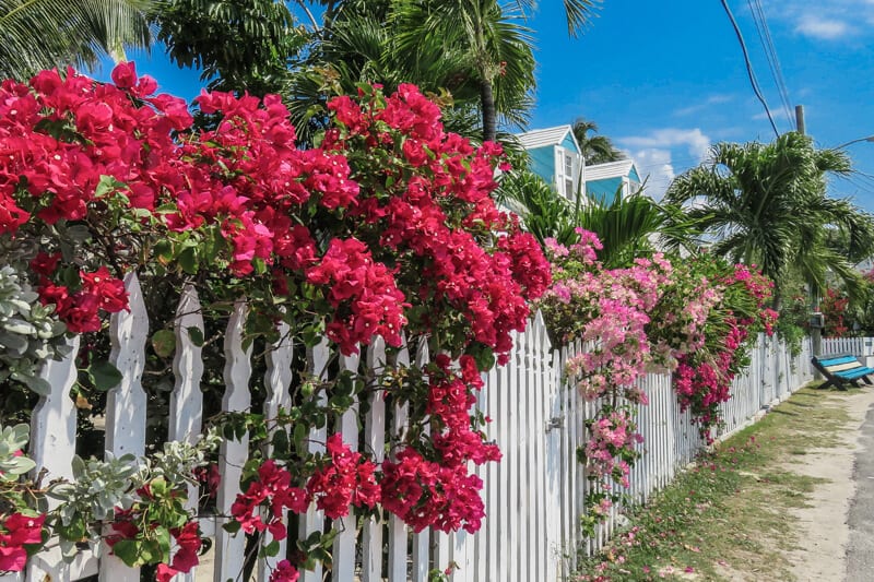 Colonial style buildings surround Dunmore Town, the orginal capiotal of the Bahamas, located on Harbour Island Bahamas.