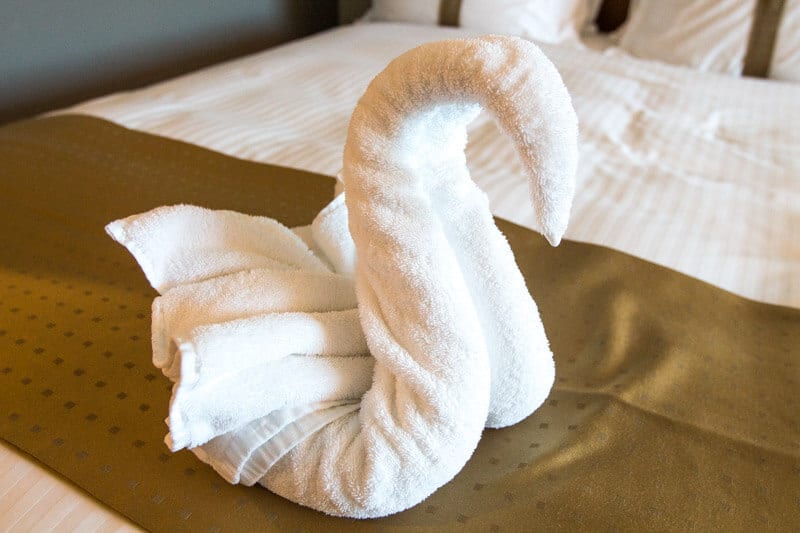 towel animal