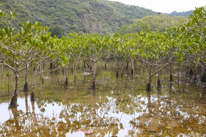 marshland on lo chi wo hiking tour 