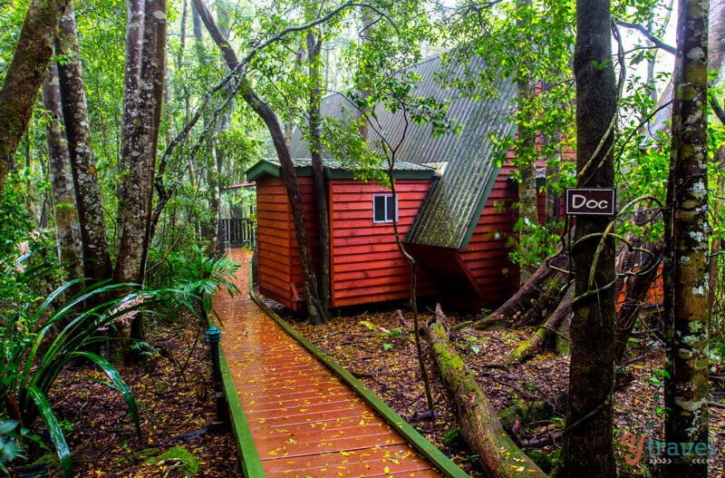 cabin in a forest