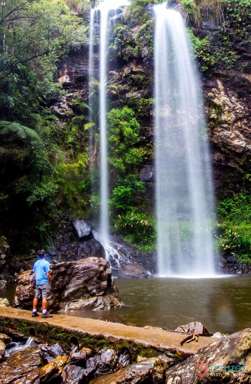 man looking at Twin Falls, Springbrook National Park, 