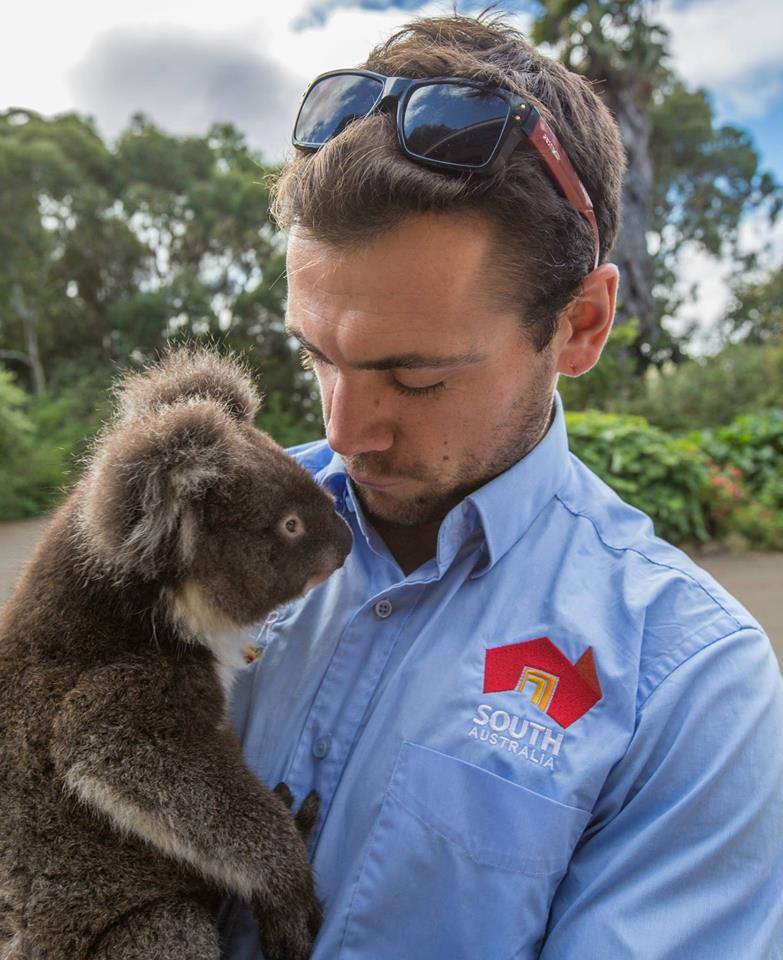 man cuddling koalas